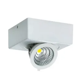 oprawa-sufitowa-led-6w-regulowana-03127-ideus