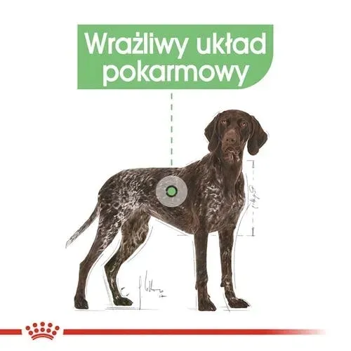 royal-ccn-maxi-digestive-care-3kg-karmy-specjalne-dla-psow-z-nadwrazliwoscia-pokarmowa