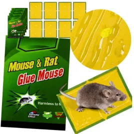 lep-na-gryzonie-10-szt-mocny-niewysychajacy-klej-pulapka-na-myszy