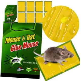 pulapka-lepowa-na-myszy-szczury-10x-lapka-klej-nietoksyczny-aromat