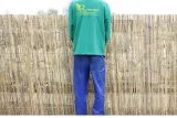 mata-bambusowa-15x3m-oslonowa-plot-balkon-dlugosc-300-cm-material-dominujacy-bambus
