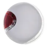 latarka-led-do-smyczy-flexi-lampka-led-lightning-marka-flexi
