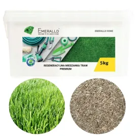 trawa-regene-emeralld-regenerative-5-kg-barenbrug