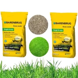 trawa-barenbrug-resilient-blue-10-kg
