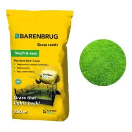 trawa-barenbrug-resilient-blue-5-kg