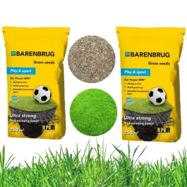 trawa-barenbrug-bar-power-rpr-10-kg