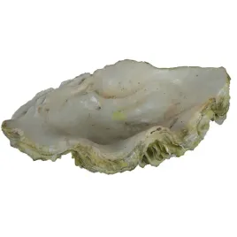 zolux-353866-muszla-malzy-duza