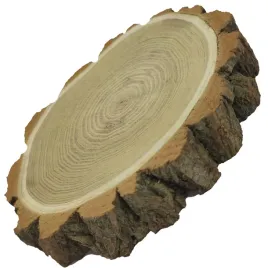 plaster-akacji-15-20-cm-gr-35-szlif-z-kora