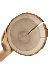 plaster-czeremchy-20-25cm-gr-3cm-szlif-z-kora