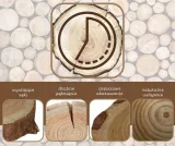 panel-dekoracyjny-drewniany-panel-scienny-plastry-debowe-76x38-dab-1szt-producent-inny