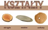 panel-dekoracyjny-drewniany-panel-scienny-plastry-debowe-76x38-dab-1szt-stan-nowy-material-drewno