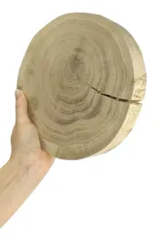 okorowany-plaster-debu-15-20-cm-gr-3-cm-szlif