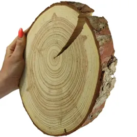 plaster-modrzewia-20-25cm-gr-4cm-szlif-z-kora