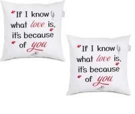 2x-poduszka-dekoracyjna-40x40cm-if-i-know-what-love-is-its-because-of-you