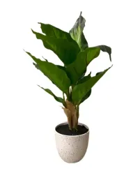 sztuczny-kwiatek-z-doniczka-30cm-kwiatki-kwiat-do-pokoju-biurko