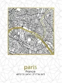 obraz-45x60x18cm-plan-miasta-paris-lumarko