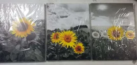 obraz-na-plotnie-tryptyk-sloneczniki-90-x-40-cm