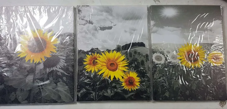 obraz-na-plotnie-tryptyk-sloneczniki-90-x-40-cm-kod-producenta-030796