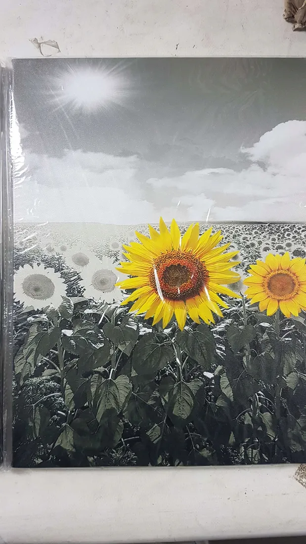 obraz-na-plotnie-tryptyk-sloneczniki-90-x-40-cm