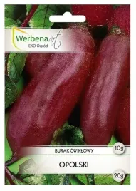 burak-cwiklowy-opolski-10-g-cylindryczny-rewelacyjny-na-soki