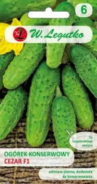 ogorek-gruntowy-cezar-f1-konserwowy-plenny-5g-dlugo-owocuje-do-jesieni