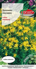 dziurawiec-nasiona-ziol-zwyczajny-02-g-leczniczy-antydepresyjny-ziola