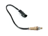 sonda-lambda-do-zipp-gp-125-producent-zipp