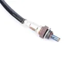 sonda-lambda-do-zipp-pro-xt-rs-125-stan-nowy