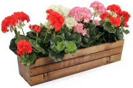 skrzynka-balkonowa-drewniana-60-cm-na-kwiaty-ziola