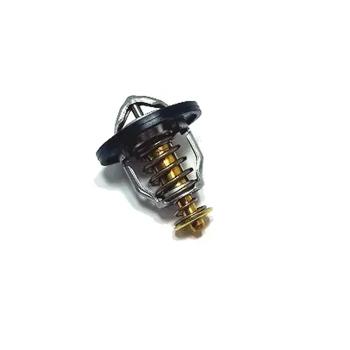 termostat-tourmax-tmt-106