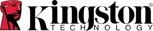 kingston-256gb-micro-canvas-select-plus-100-85mb-s