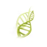 krem-do-twarzy-hyaluron-stan-nowy