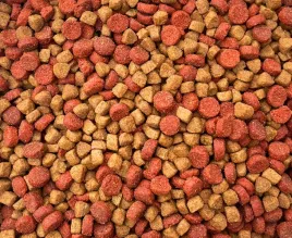 sucha-karma-dla-kota-10kg-maxipet-pelnoporcjowa-kurczak-z-indykiem