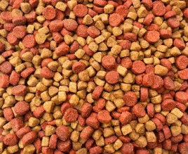 sucha-karma-dla-kota-10kg-maxipet-pelnoporcjowa-kurczak-z-indykiem