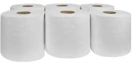 recznik-papierowy-czysciwo-celuloza-100m-6-rolek