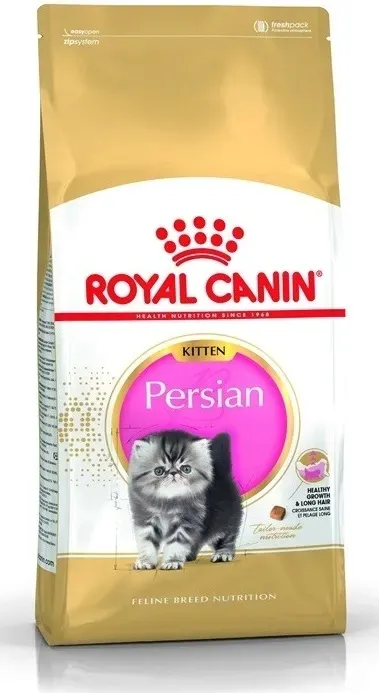 royal-persian-kitten-2kg-wiek-zwierzecia-kocieta-i-mlode-koty