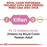 royal-persian-kitten-2kg-karmy-specjalne-dla-kotek-w-okresie-ciazy-i-laktacji