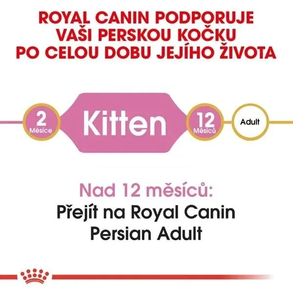 royal-persian-kitten-2kg-wiek-zwierzecia-kocieta-i-mlode-koty-smak-kurczak