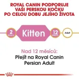 royal-persian-kitten-2kg-wiek-zwierzecia-kocieta-i-mlode-koty-smak-kurczak