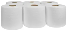 recznik-papierowy-czysciwo-celuloza-100m-6-rolek