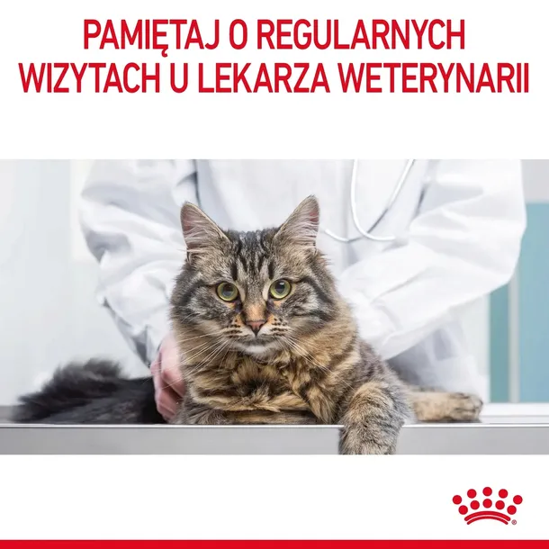 royal-appetite-control-35kg-smak-kurczak