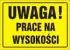Kolor / wzór produktu #23