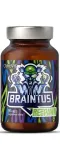 ostrovit-braintus-respawn-90kaps