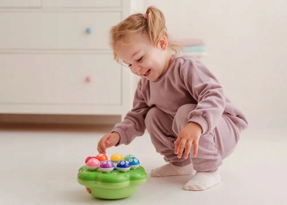 dumel-symfonia-grzybkow-dd62371