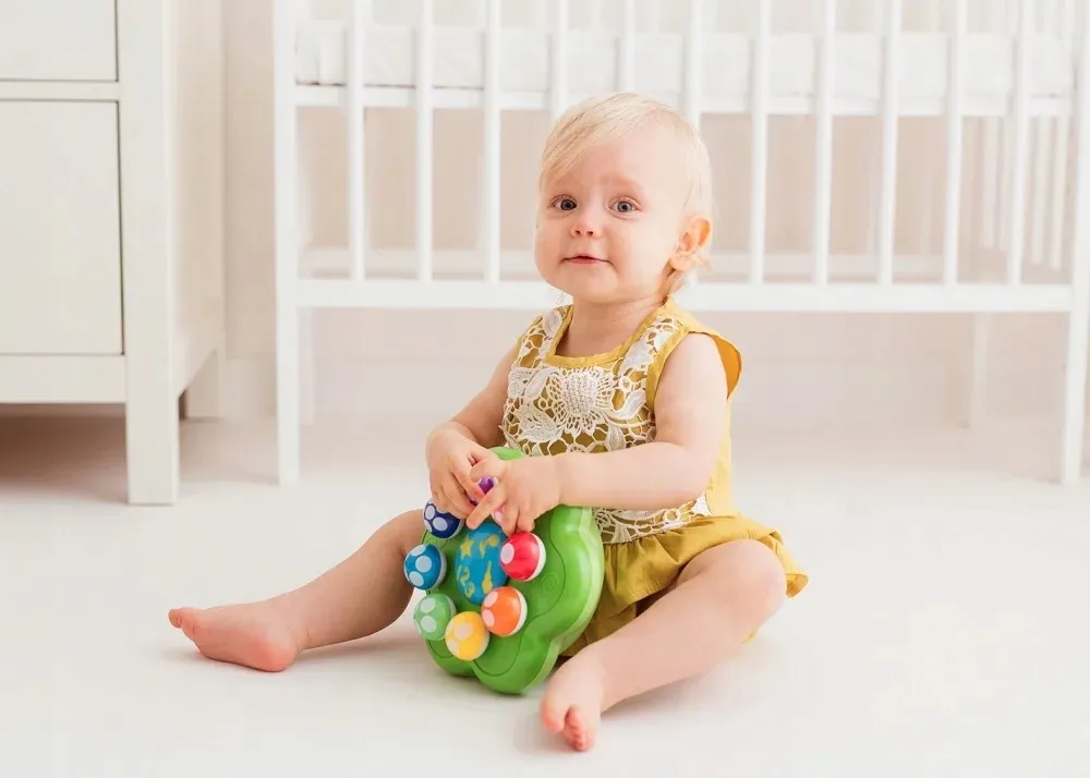 dumel-symfonia-grzybkow-dd62371