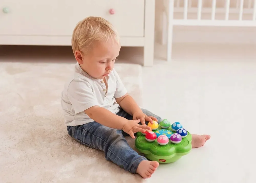 dumel-symfonia-grzybkow-dd62371