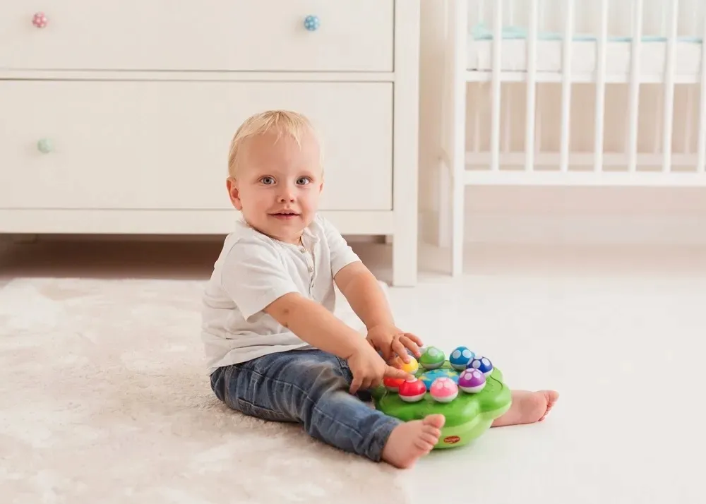 dumel-symfonia-grzybkow-dd62371-stan-nowy