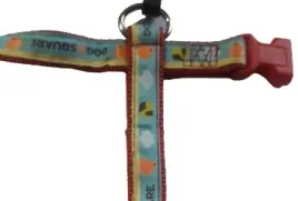 zolux-szelki-tasma-picnic-czerwone-15mm