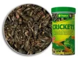 tropical-crickets-250ml-25g-kod-producenta-11194