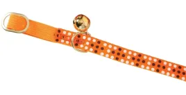 zolux-or-obroza-dla-kota-colorful-30cm-pomaranczowa